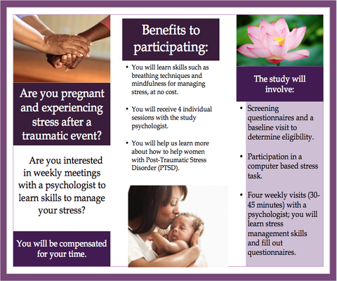 A brief treatment on PTSD symptoms in pregnancy